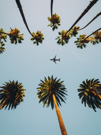 How to Plan a Last-Minute Luxury Escape to Miami Without Compromising on Quality blog section image