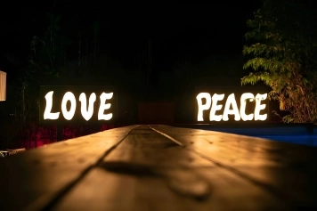 Miami Love&Peace Zen Oasis-Pool- Basketball Hoop Image 17