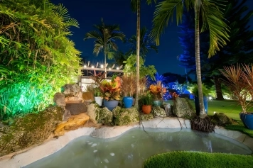 Miami Love&Peace Zen Oasis-Pool- Basketball Hoop Image 71