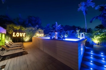 Miami Love&Peace Zen Oasis-Pool- Basketball Hoop Image 76