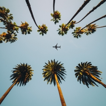 How to Plan a Last-Minute Luxury Escape to Miami Without Compromising on Quality blog sidebar