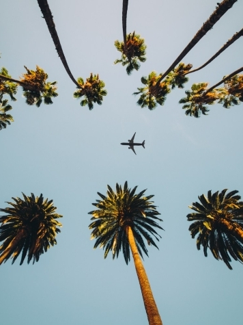 How to Plan a Last-Minute Luxury Escape to Miami Without Compromising on Quality blog image