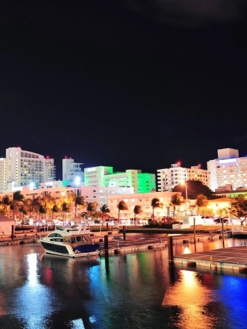 Miami in December: Why a Private Villa Makes the Holiday Season Truly Unforgettable blog image